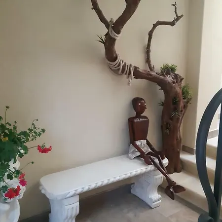 Πανσιόν La Casa Di Pinocchio 3*